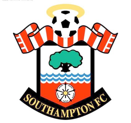 成功经验为 成功经验为